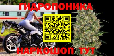 молекула духа Малоярославец