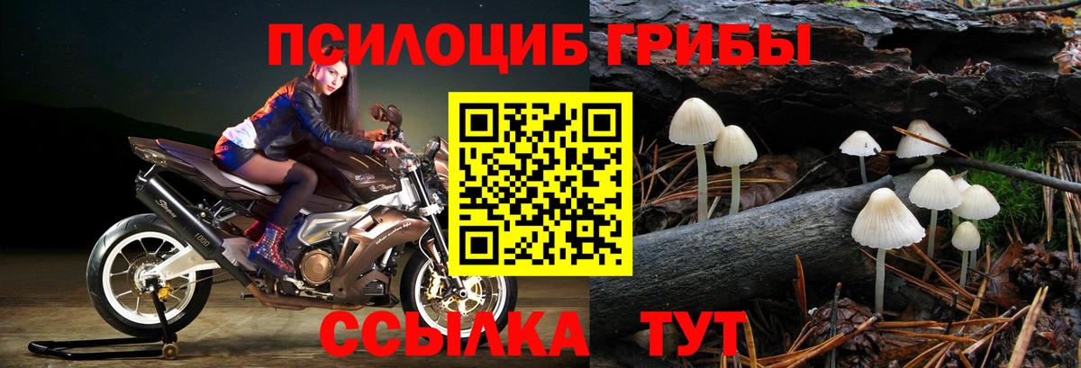 Галлюциногенные грибы мухоморы  Псилоцибиновые грибы прущие грибы  где продают   Вход с VPN  Туапсе 